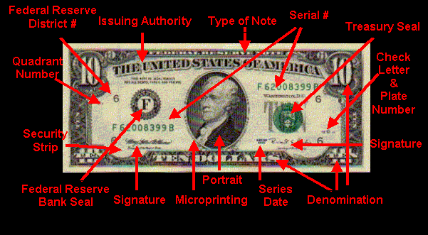 10 dollar banknote anatomy